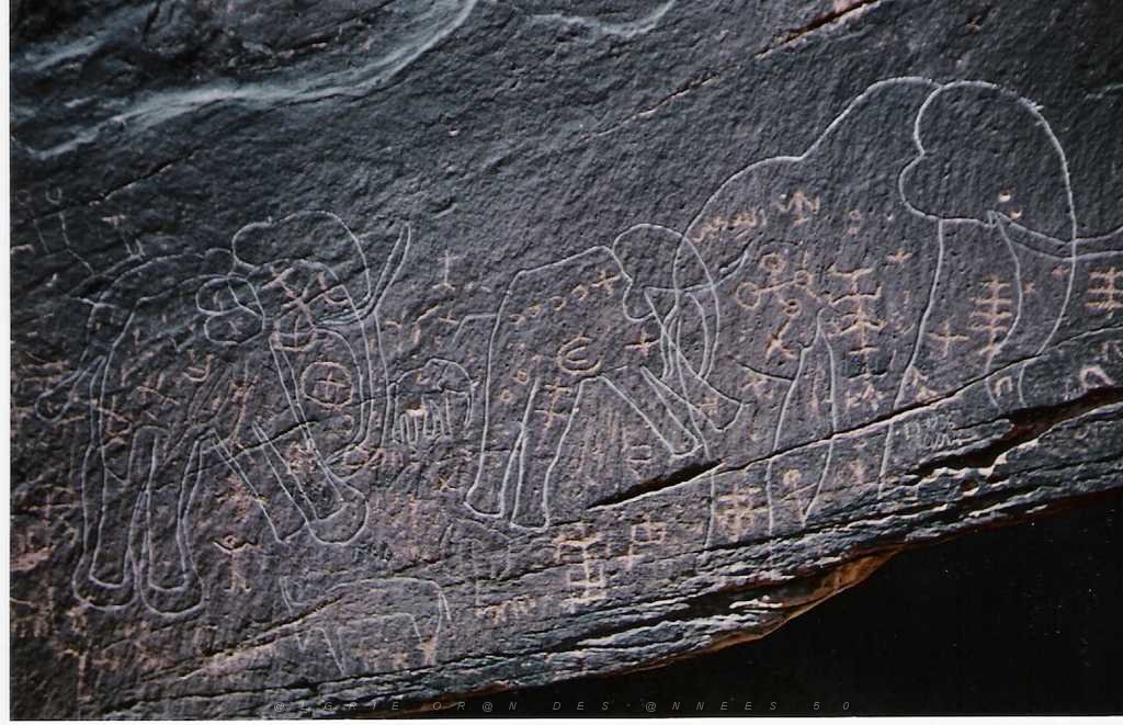 MECHERIA PEINTURES RUPESTRES AU SUD DE MECHERIA.jpg